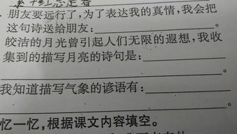 關(guān)于真心對待朋友的詩(shī)句