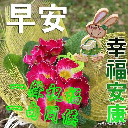 關(guān)于動(dòng)態(tài)美的詩(shī)句