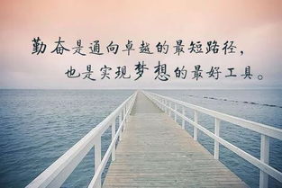 關(guān)于勤奮和執著(zhù)的詩(shī)句