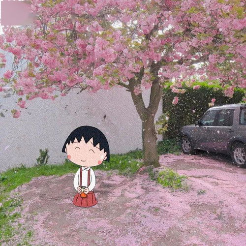 關(guān)于勾起回憶的詩(shī)句