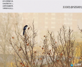關(guān)于傷悲的詩(shī)句古詩(shī)