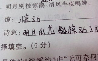 特別詩(shī)意的古詩(shī)句
