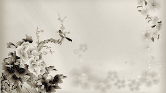 關(guān)于兄弟情的詩(shī)句