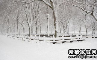 古詩(shī),詩(shī)句,嬉戲,雪中