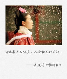 一句關(guān)于古人傳信的詩(shī)句