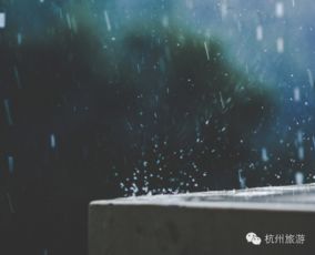 關(guān)于冬雨的古詩(shī)句