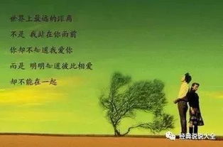 古詩(shī),心煩,句子