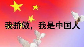 關(guān)于對中國自豪的詩(shī)句