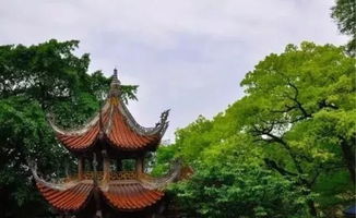 關于山寺樓閣的詩句