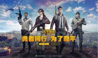 關(guān)于和平精英的詩(shī)句