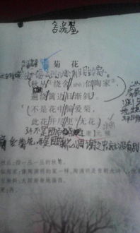 4句交友古詩(shī)句
