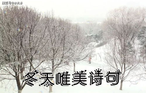 關(guān)于冬天的詩(shī)句有哪些古詩(shī),關(guān)于冬天的詩(shī)句古詩(shī),描寫(xiě)冬天的詩(shī)句古詩(shī)