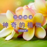 關(guān)于植物的再吵詩(shī)句