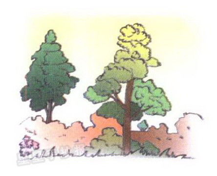 描寫(xiě)山的詩(shī)句古詩(shī)大全,描寫(xiě)杏花的詩(shī)句古詩(shī)大全,描寫(xiě)月亮的詩(shī)句古詩(shī)大全
