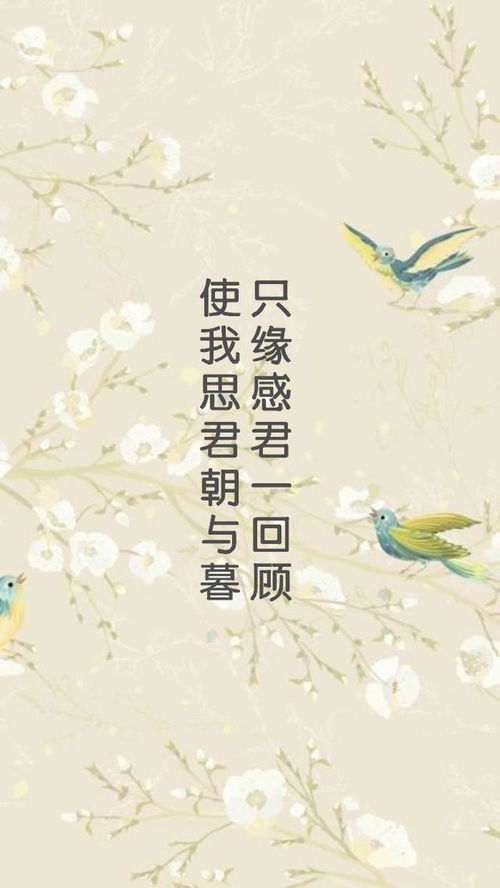 詩(shī)句