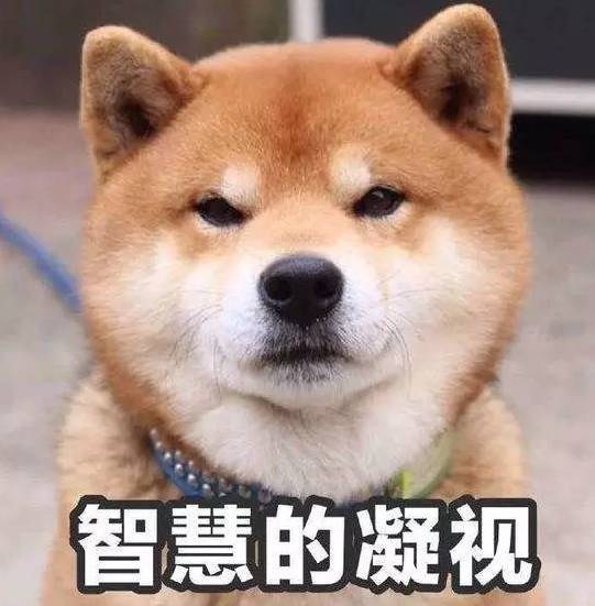 關(guān)于金犬的詩(shī)句