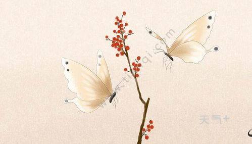 懷念春天的詩(shī)句古詩(shī)