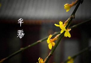 古詩(shī),詩(shī)句,復蘇,萬(wàn)物