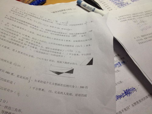 現在人們常用古詩(shī)句