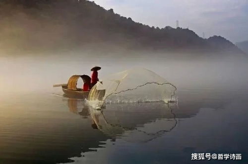 題畫(huà)這首古詩(shī)的詩(shī)句