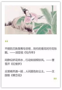 巾幗,詩(shī)句,描寫(xiě),女子