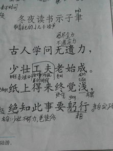 關(guān)于轉化的詩(shī)句