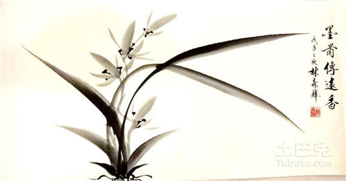 關(guān)于梅蘭竹菊的詩(shī)句作者和詩(shī)名