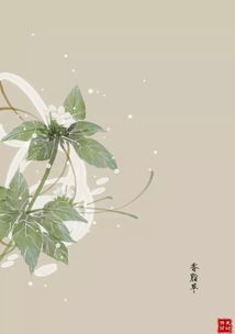 關(guān)于天地的傳說(shuō)或詩(shī)句
