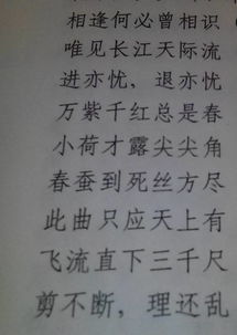 我愛(ài)古詩(shī)作文寫(xiě)詩(shī)句和成語(yǔ)