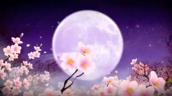 古詩(shī)中描寫(xiě)思念家鄉親人的詩(shī)句