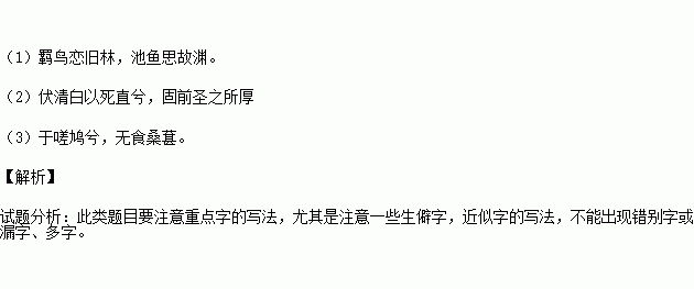 詩(shī)句,向往,內心,自由