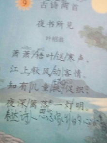 關(guān)于描的詩(shī)句