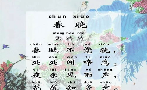 有關(guān)春天的詩(shī)句古詩(shī),春天梅花的詩(shī)句古詩(shī),春天的詩(shī)句古詩(shī)整首