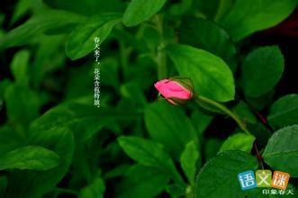 描寫(xiě)雨景的古詩(shī)句合集
