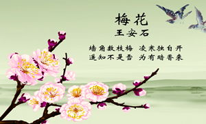 形容雪的古詩(shī)句