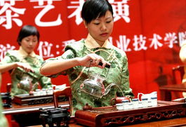 關(guān)于鐵觀(guān)音茶藝表演的詩(shī)句