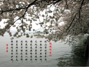 小學(xué)描寫(xiě)景物的詩(shī)句,描寫(xiě)景物的詩(shī)句大全,描寫(xiě)夏天景物的詩(shī)句古詩(shī)