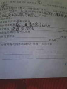 描寫(xiě)泰山梅花的詩(shī)句古詩(shī)
