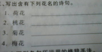 梅花菊花荷花桃花詩(shī)句古詩(shī)