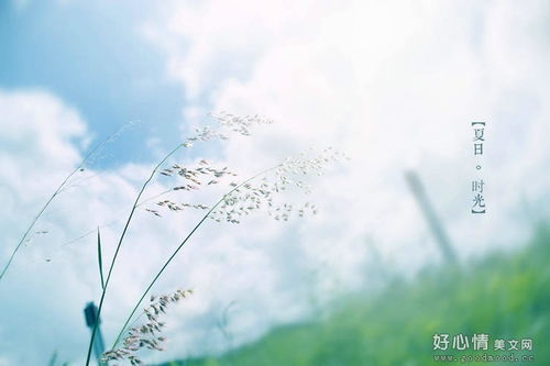感嘆的古詩(shī)句