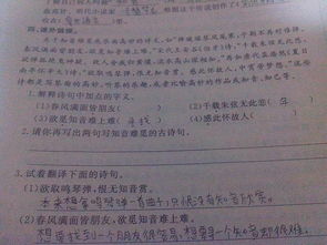 難找知己的古詩(shī)句