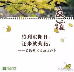 關(guān)于友誼長(cháng)存的詩(shī)句和名言