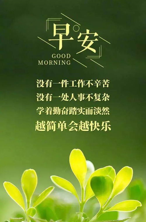 充滿(mǎn)陽(yáng)光正能量的詩(shī)句,向陽(yáng)而生的正能量詩(shī)句,熱愛(ài)祖國正能量的詩(shī)句