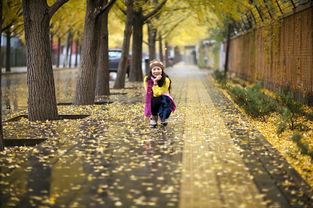 關(guān)于冬雨凄美詩(shī)句