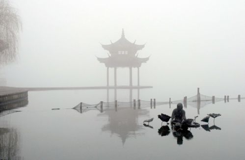 西湖,詩(shī)句,描寫(xiě),秋天