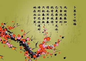 關(guān)于卜算子詠梅的詩(shī)句