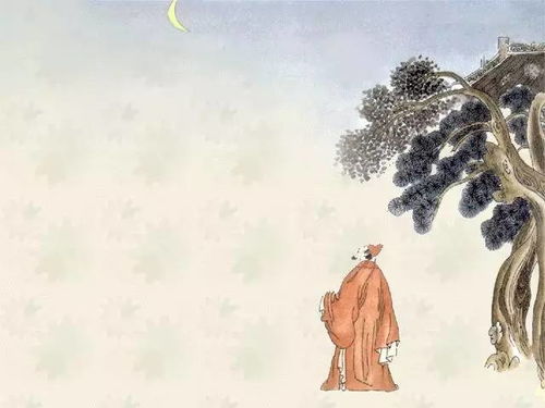 我國古詩(shī)中描寫(xiě)杜鵑黃闕白鷺的詩(shī)句