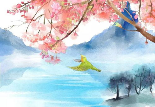 寫(xiě)桃花的詩(shī)句古詩(shī)名句,李白寫(xiě)桃花的詩(shī)句古詩(shī),關(guān)于桃花的詩(shī)句古詩(shī)唯美