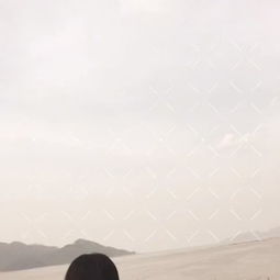 關(guān)于ang的詩(shī)句