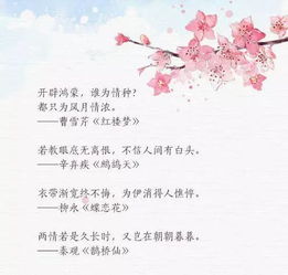 鴛鴦戲水的詩(shī)句情話(huà),撩人詩(shī)句情話(huà),星河的詩(shī)句情話(huà)